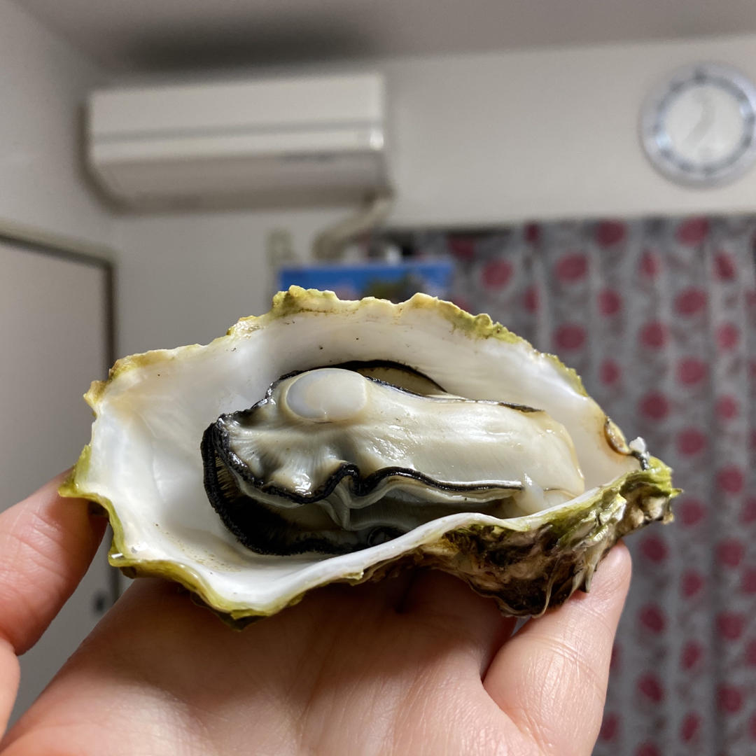 清蒸/清烤全壳生蚝