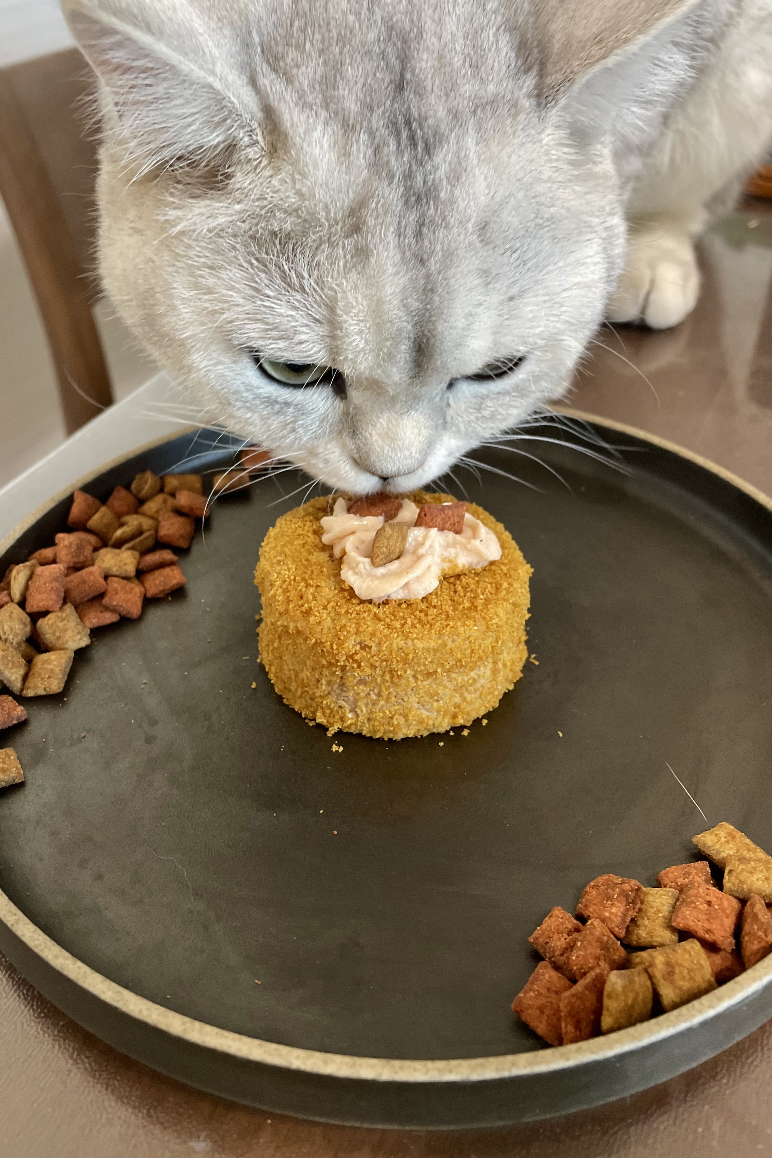 猫猫生日蛋糕的做法 步骤4