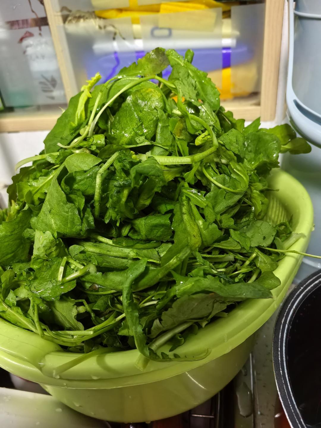 荠菜鲜肉饺子馅｜春日野菜味道！荤素两吃。