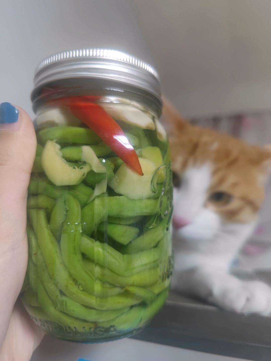 简单爽口酸豆角制作