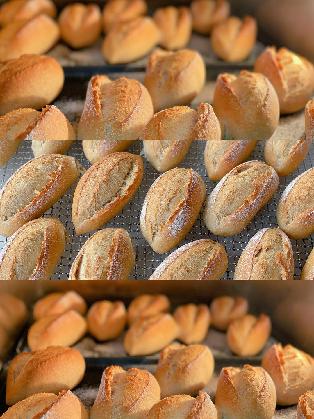 口感非常好的50%全麦主食餐包