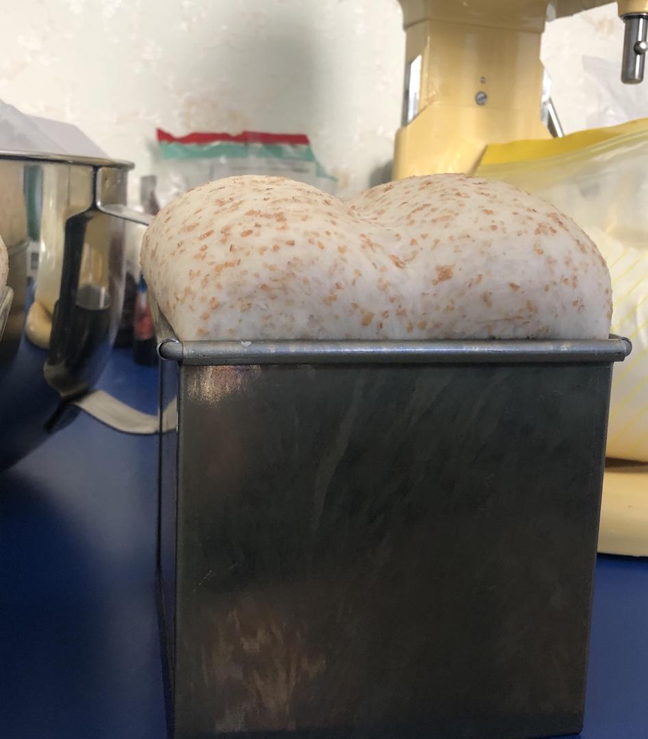波兰种全麦吐司