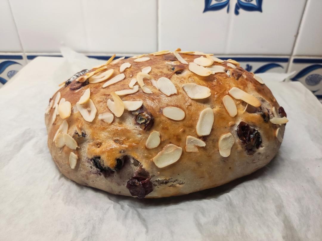 桑葚乳酪软欧(波兰种)