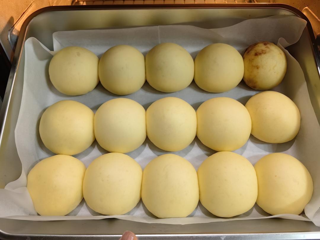 牛奶肉松小餐包（一次发酵）