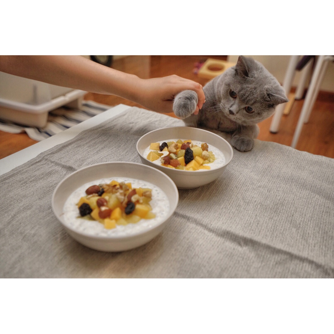 Overnight Oatmeal 隔夜早餐燕麦杯