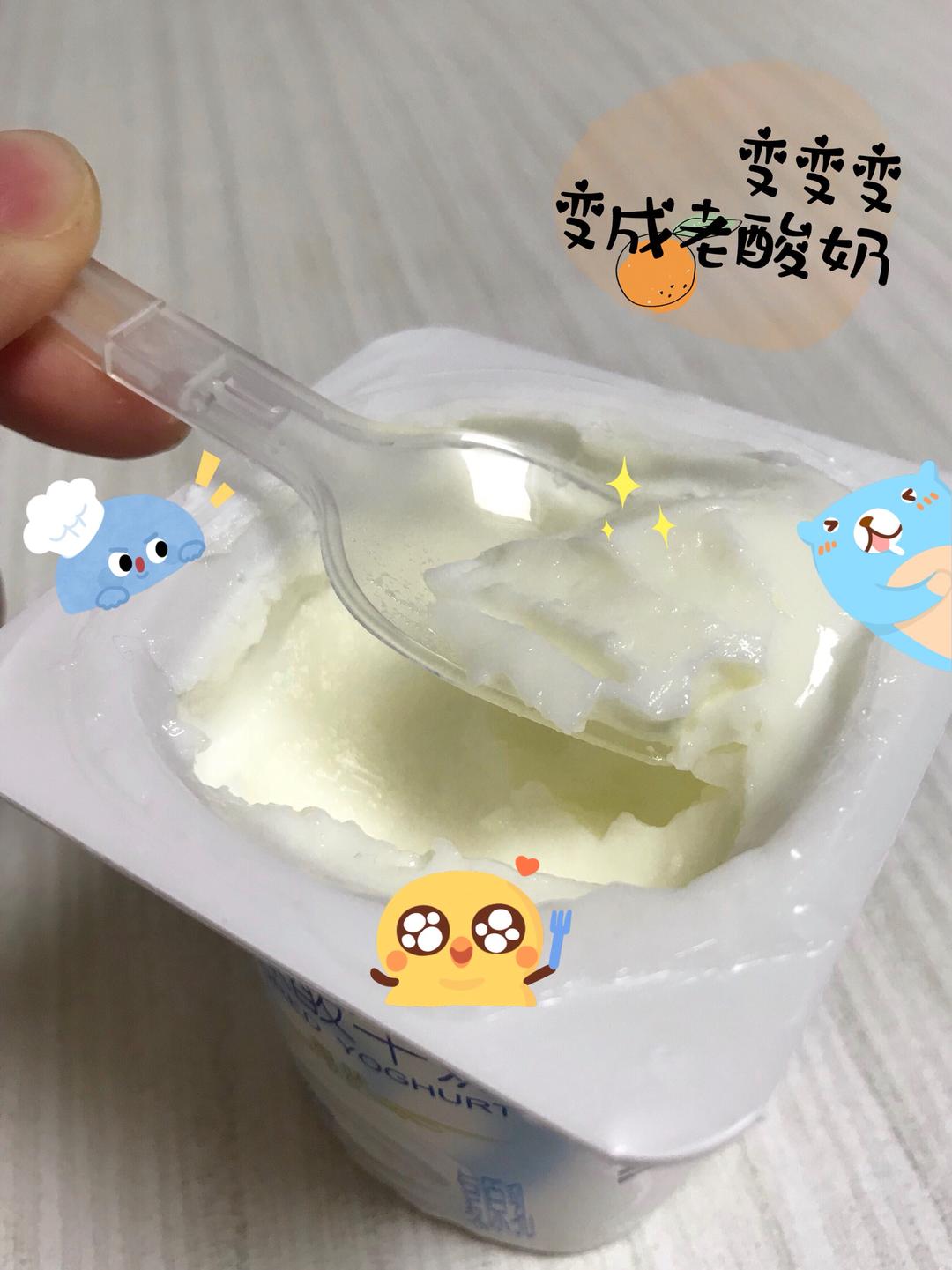 如何最最最快速制作老酸奶的做法