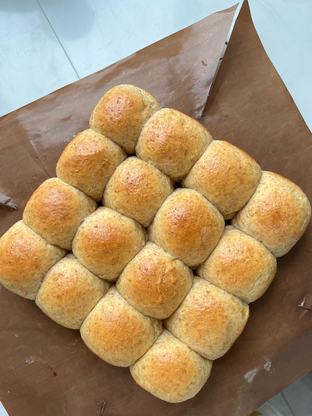 蜂蜜全麦小餐包｜浸泡全麦法