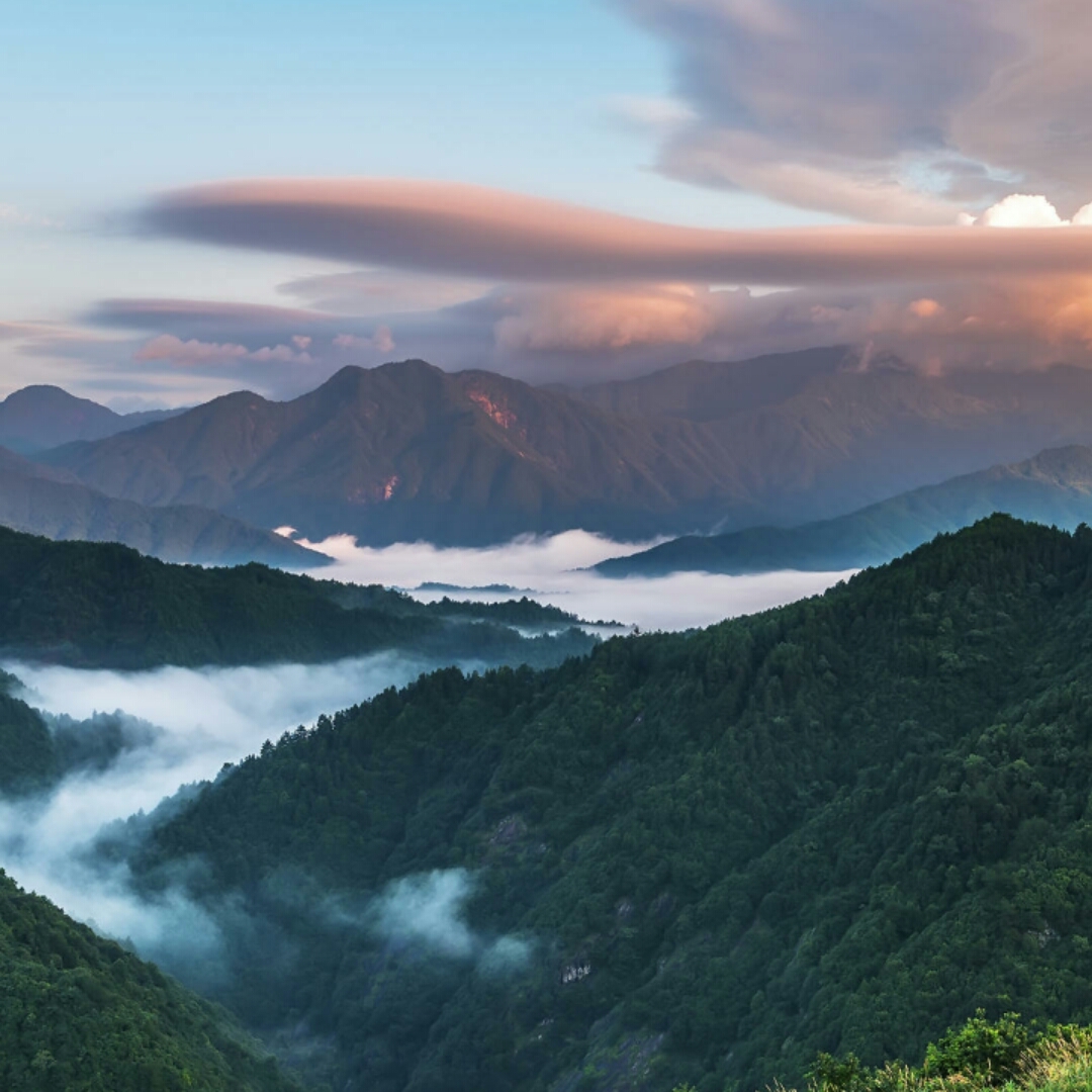 123燕香的厨房