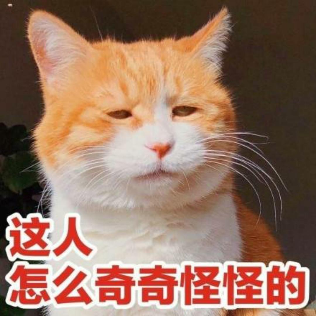 潇潇的猫哦