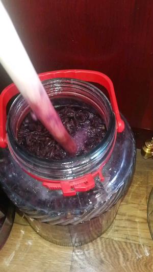 自酿干红葡萄酒的做法 步骤7