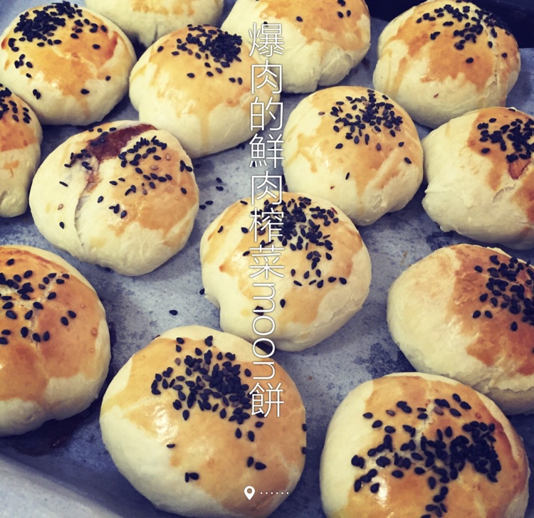 泳式鲜肉榨菜月饼