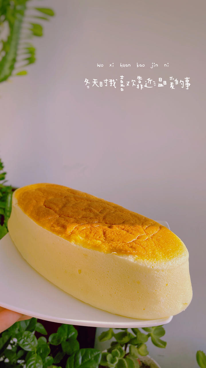 酸奶蛋糕【3月北鼎烤箱食谱】