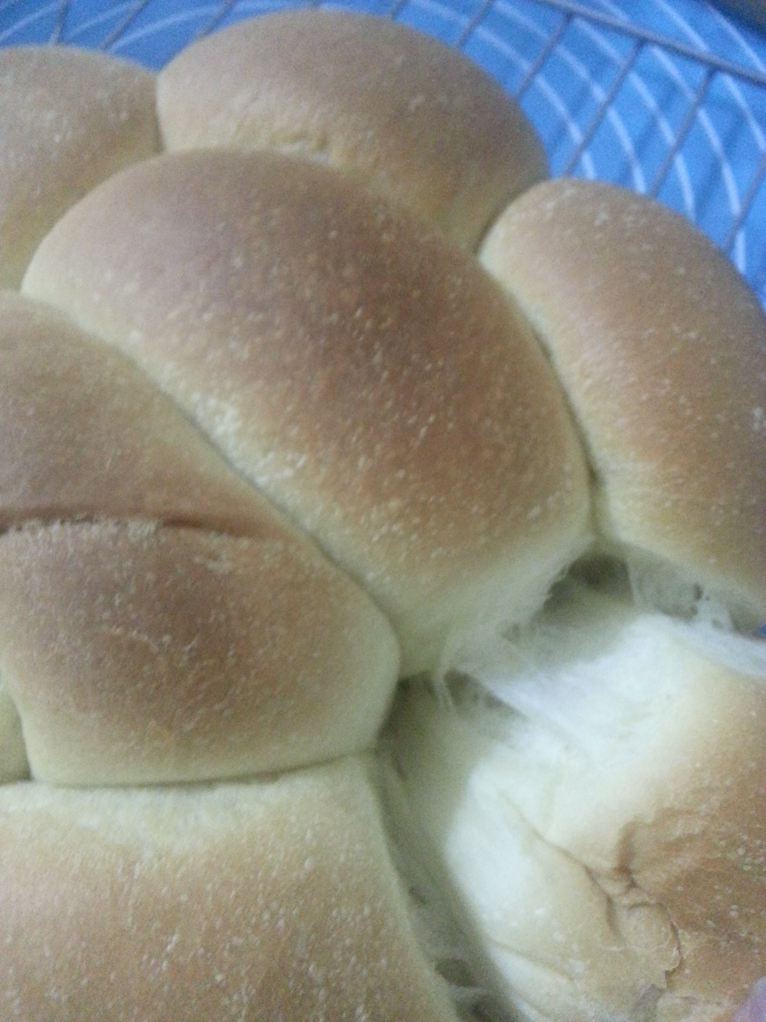 夺命软吐司(๑´ڡ`๑)超软拉丝极速方便的一次发酵吐司