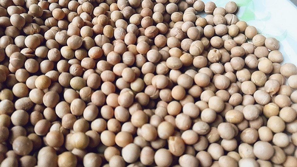 香脆炒黄豆（简单，减肥补钙营养）PS：底下有更简单更美味方法