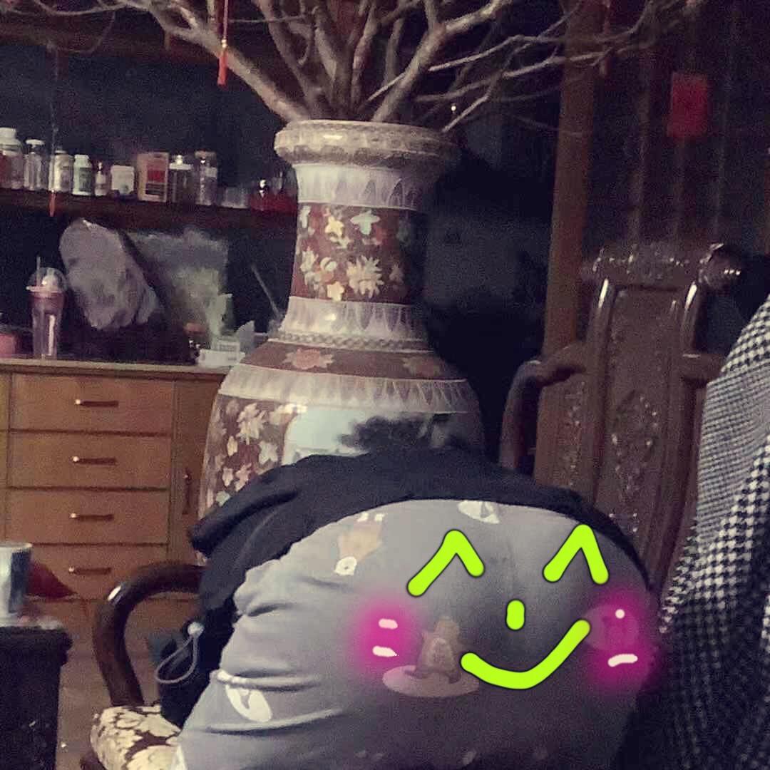 猪圆圆809