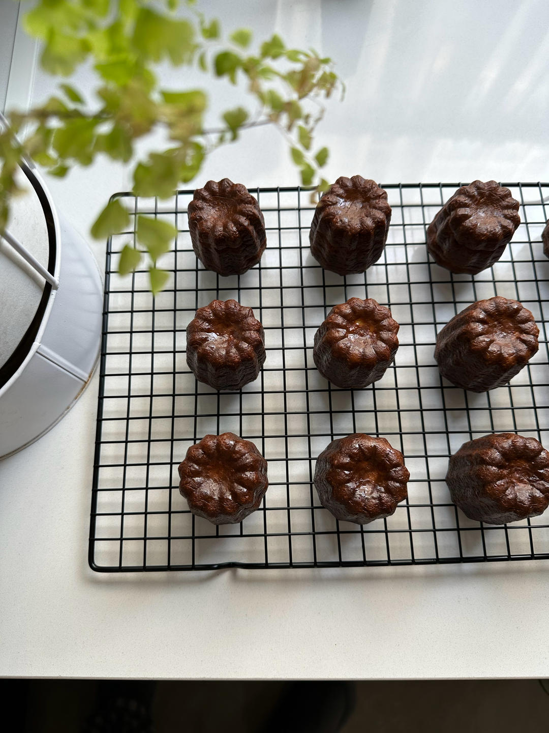 大师配方 | 不失败的可露丽<附详细理论>