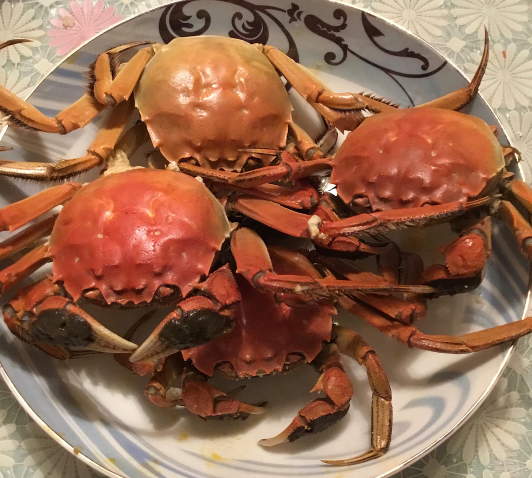 清蒸大闸蟹
