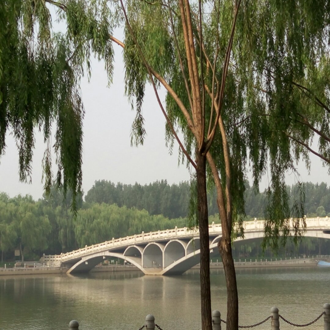 手机用户1759_sc3v