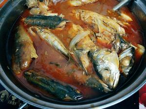 茄汁鱼罐头（鲅鱼）的做法 步骤7