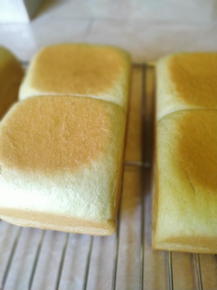 椰奶冻斑斓吐司！