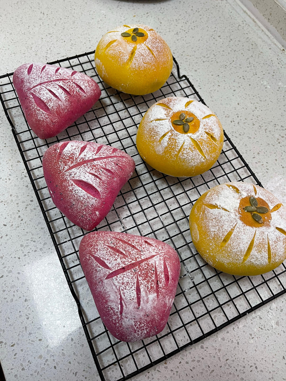 火龙果奶酪软欧包