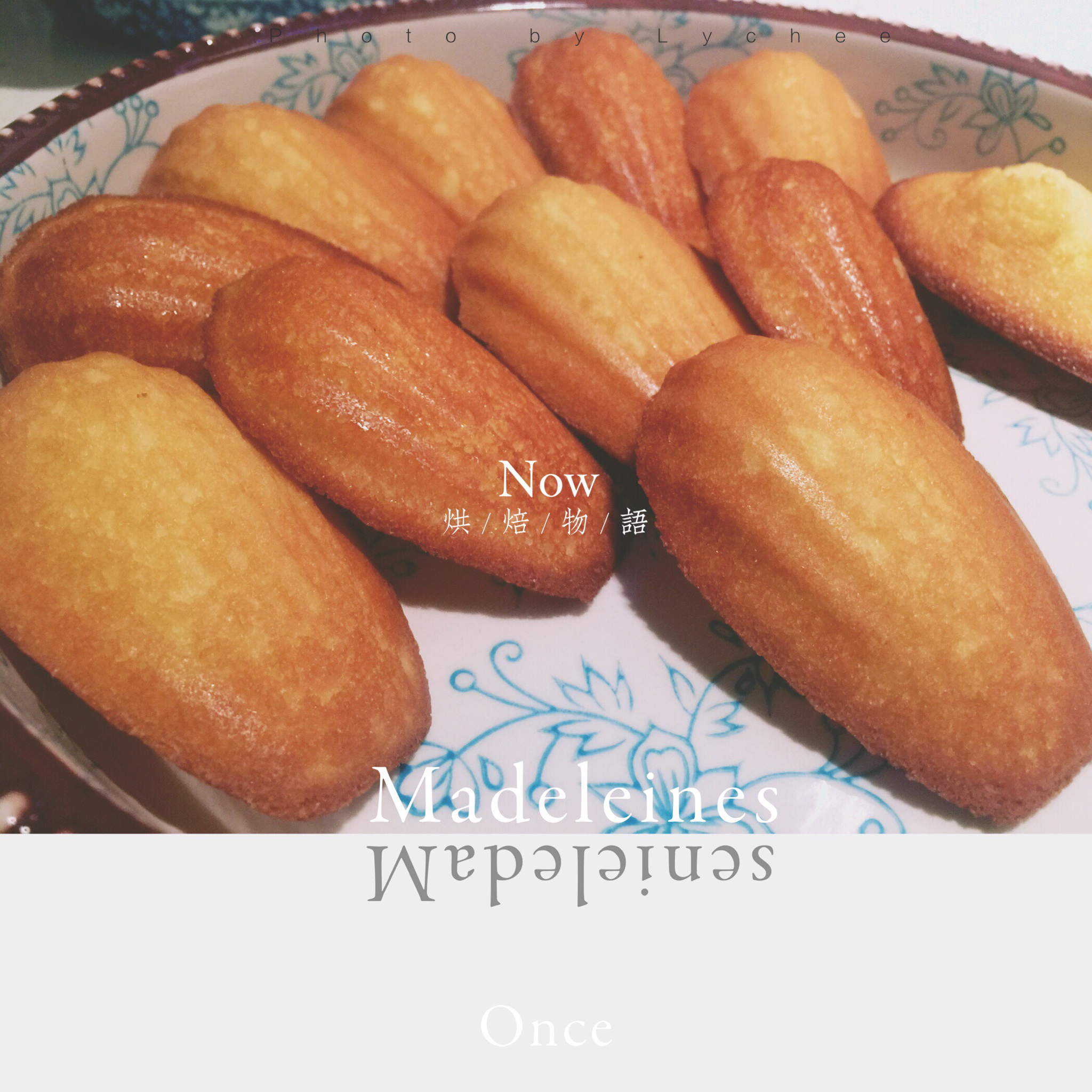 玛德琳（蓝带方）