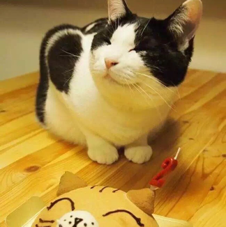 Perfectionist