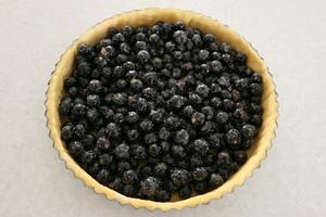 蓝莓派blueberry pie的做法 步骤11