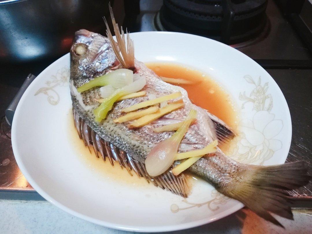 清蒸黄翅鱼的全部作品