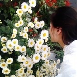 摩卡-42