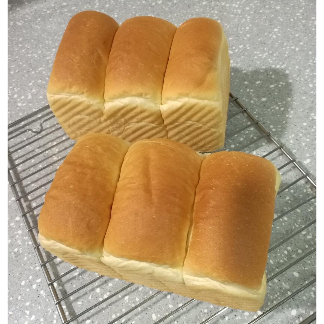 烫种牛奶吐司