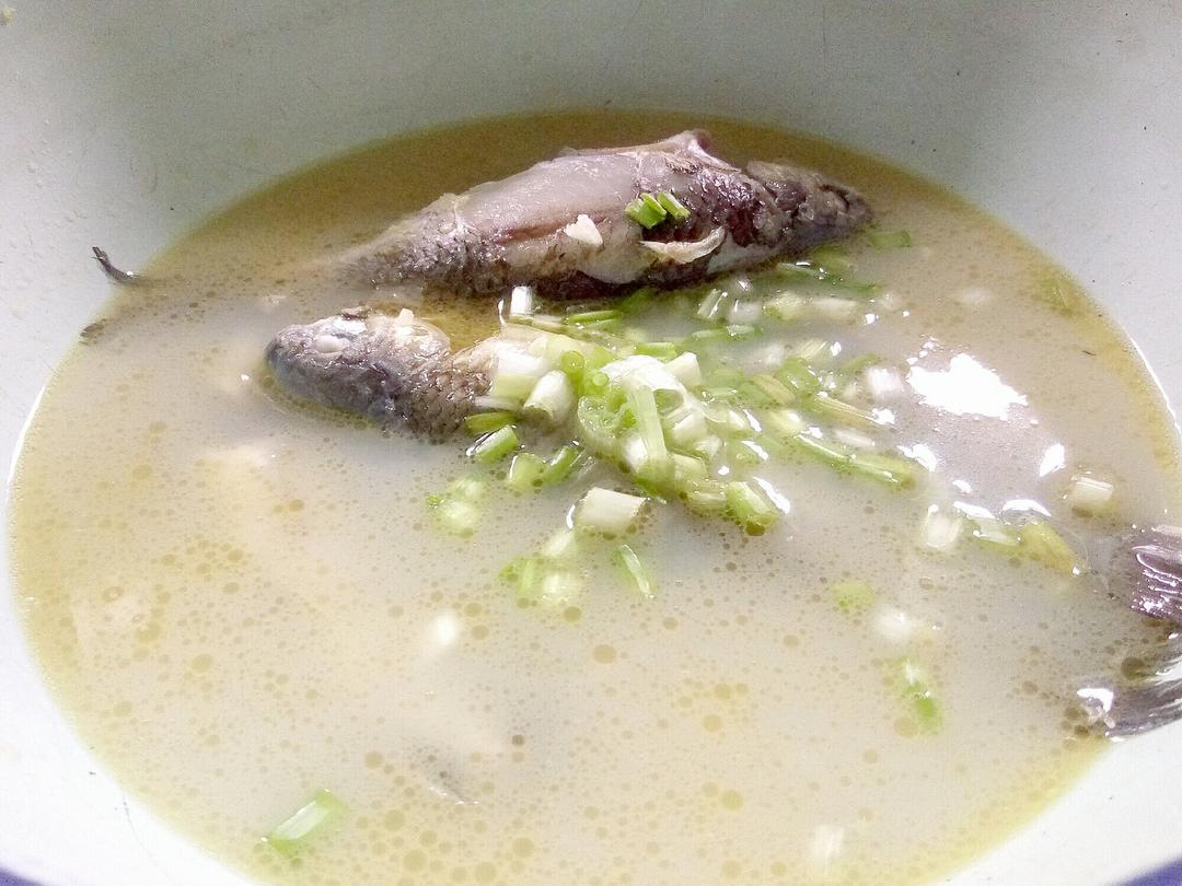 奶白鱼汤