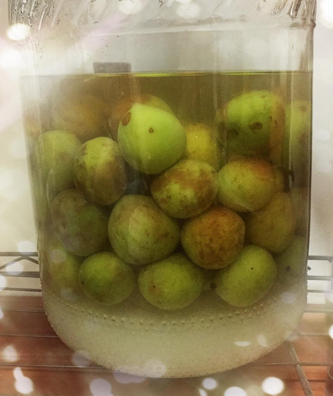 【梅子露 & 梅子醋】青梅的健康饮料