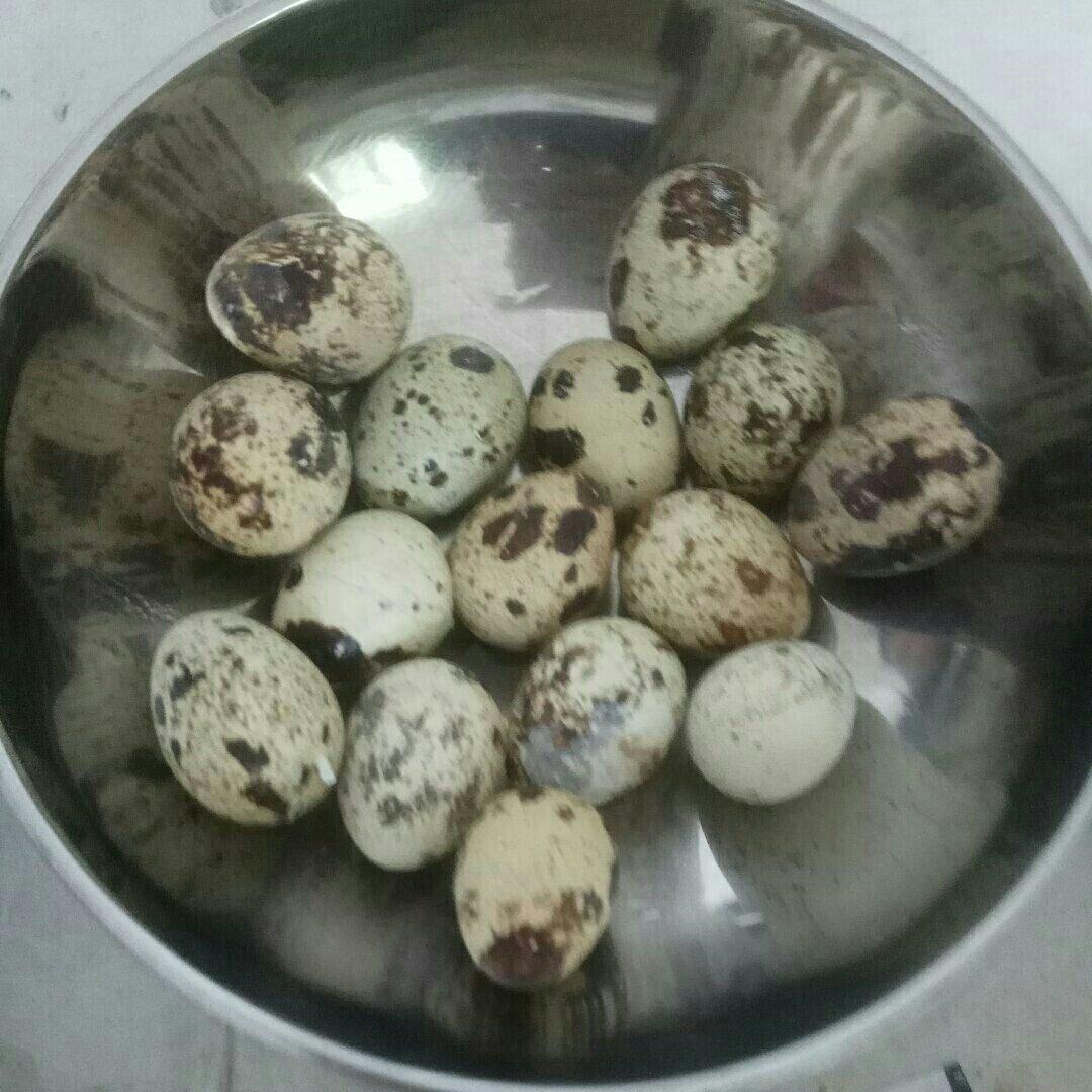 坤博砂锅煮五香鹌鹑蛋