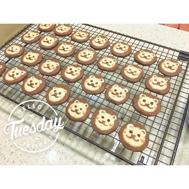 萌哭了的可可狮子饼干