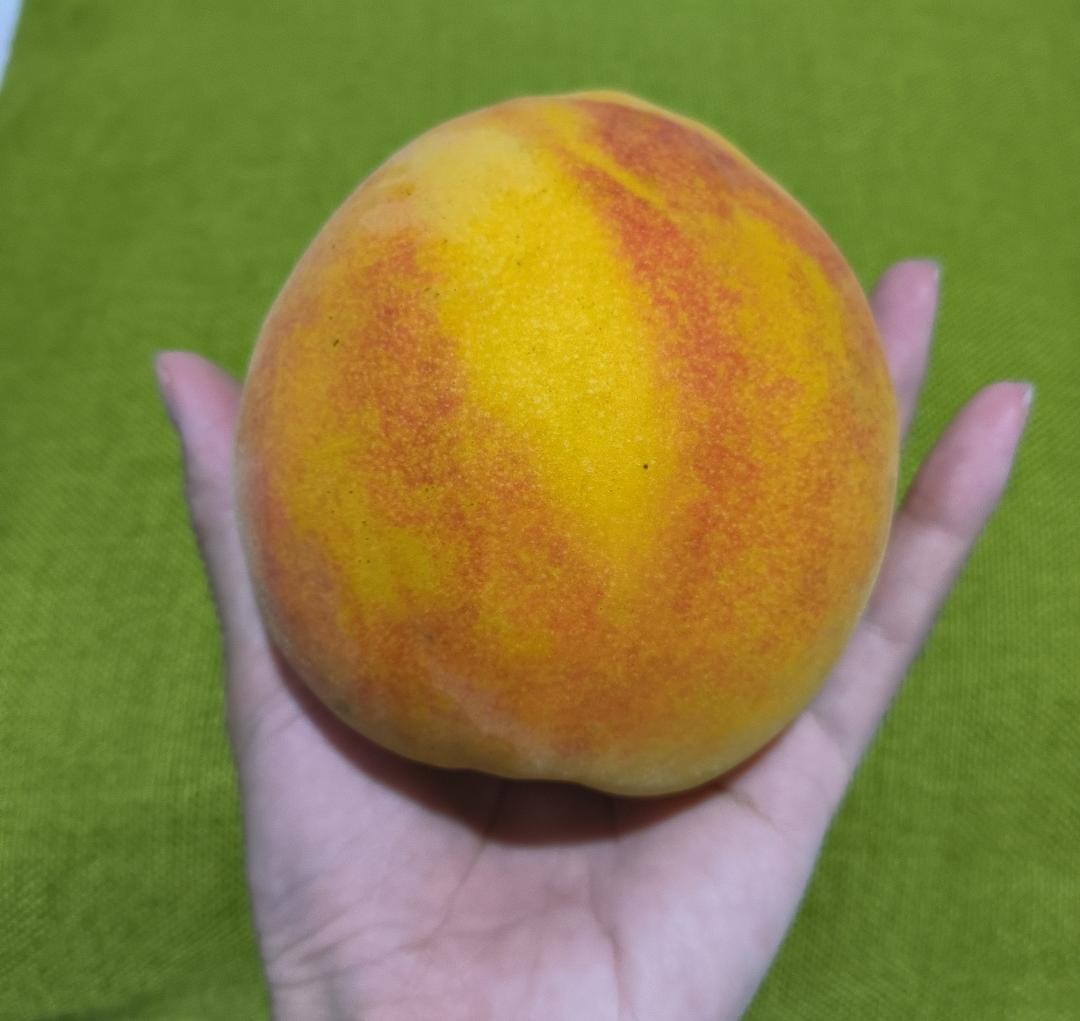 344 桃子水蜜桃黄桃能做的美食集锦脆桃冬桃白桃毛桃