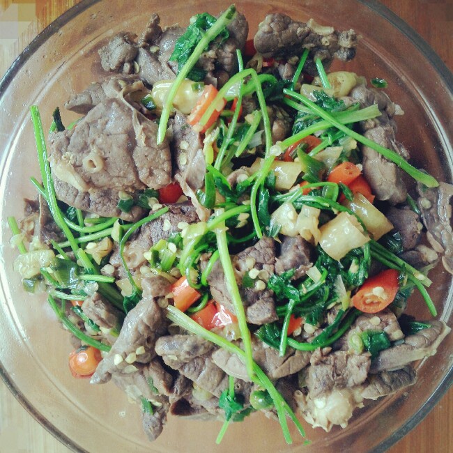 一碗君做的凉拌香辣猪肺