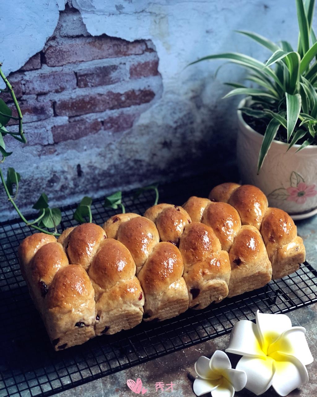 全麦蔓越莓排包