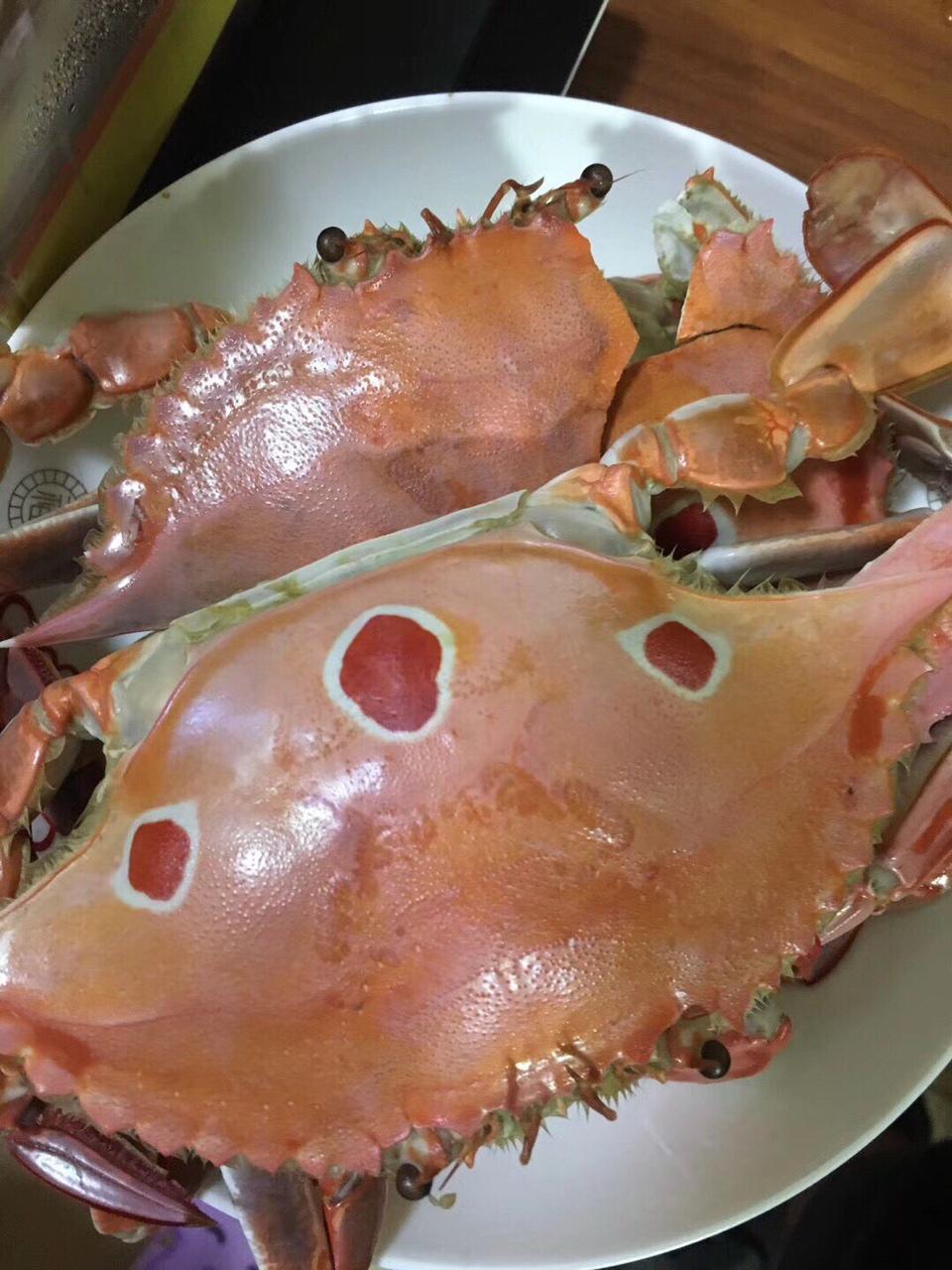 清蒸三眼蟹的全部作品