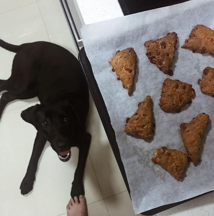 车打芝士司康 cheddar scone