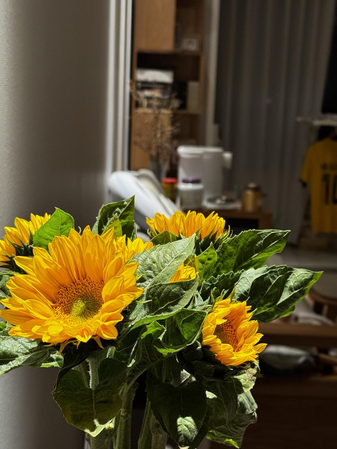 吃不胖努力努力吃胖胖