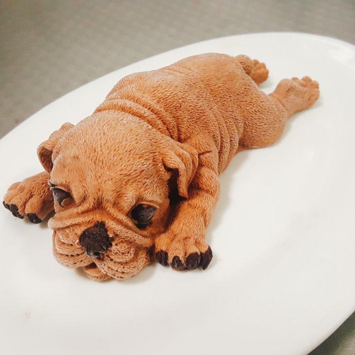 网红慕斯狗（琴姐）