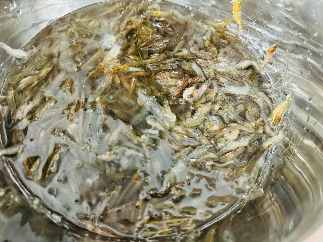 爆炒小河虾