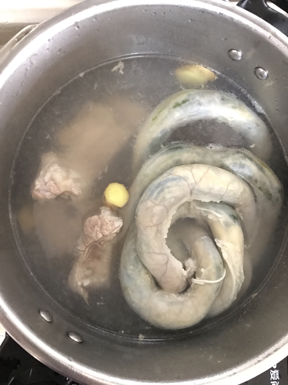 小肠灌葱炖排骨文蛤汤的做法 步骤5