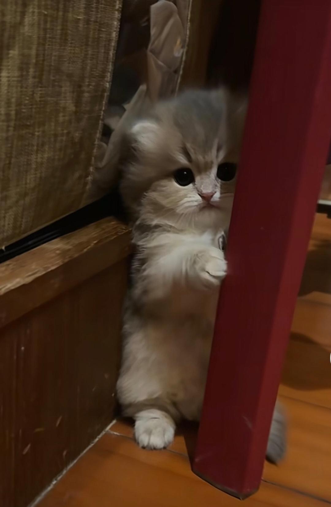 老哥们