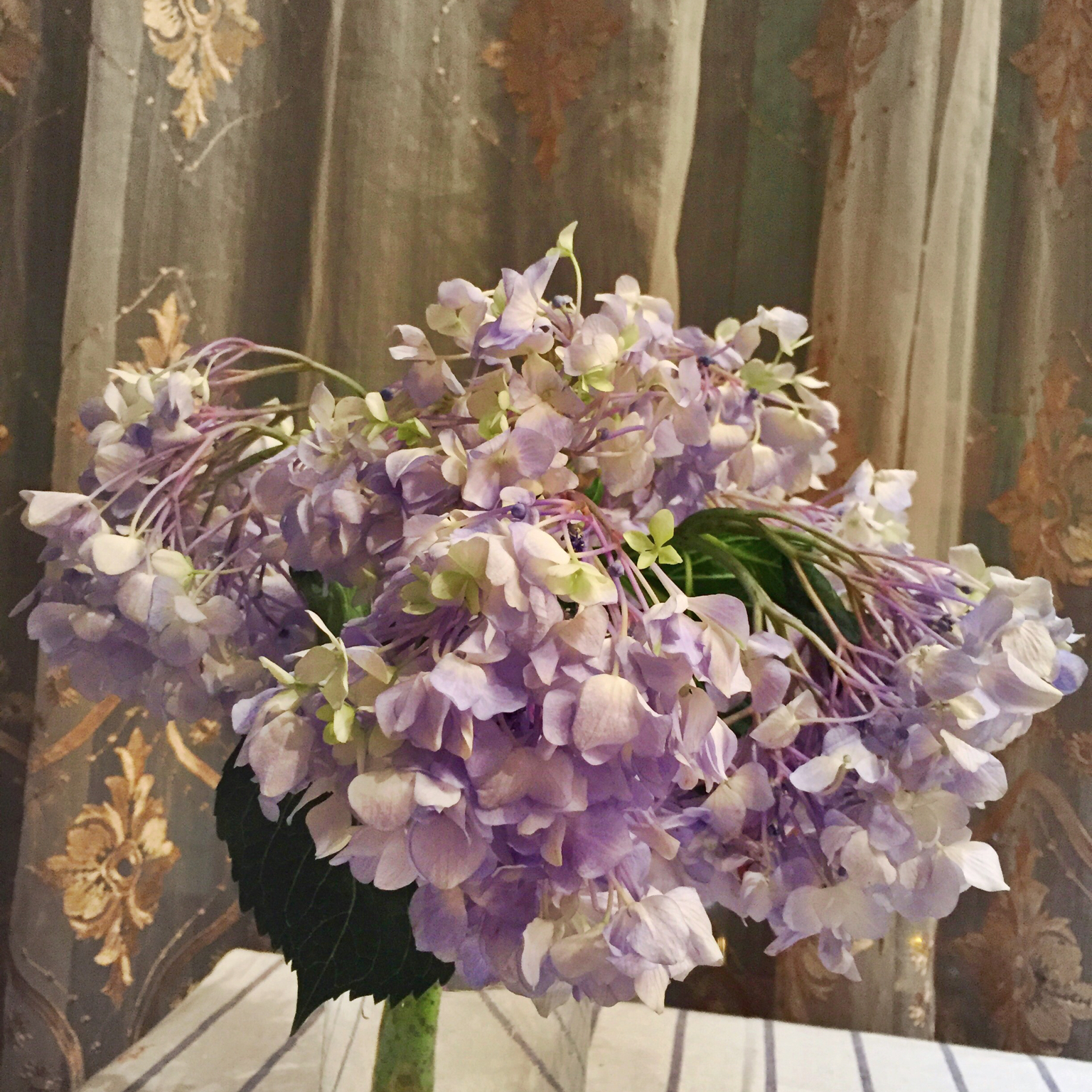 blue star少女杂货铺