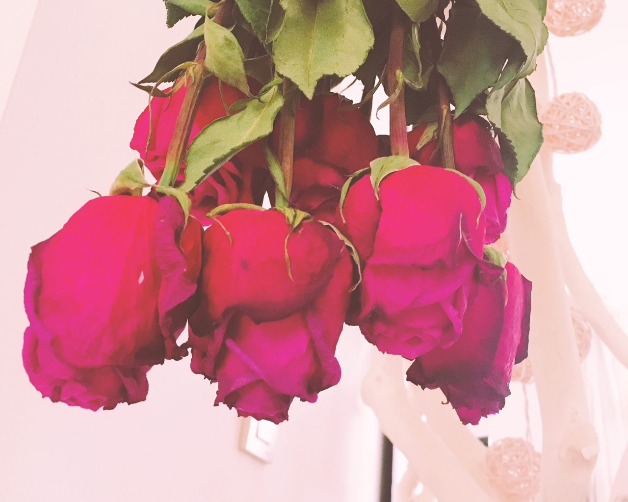 让你爱的玫瑰陪你更久～自制干玫瑰花束其实很简单的做法