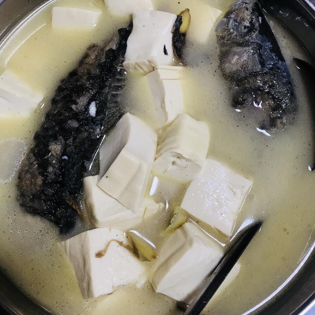 传照