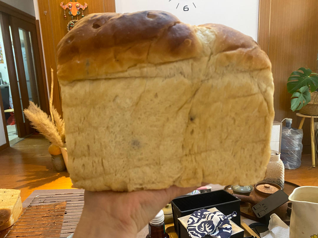 黑啤鲁邦中种提子吐司（教你解锁蕾丝组织）