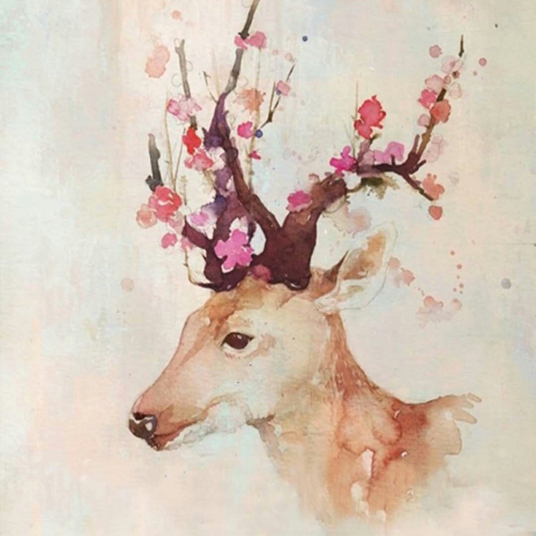 孔kong小鱼